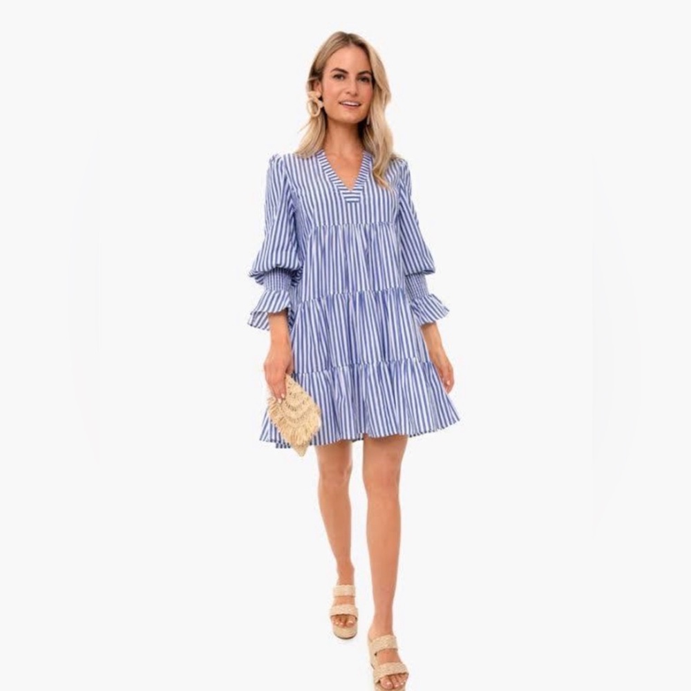 Tuckernuck Blue and White Striped Mini Dress